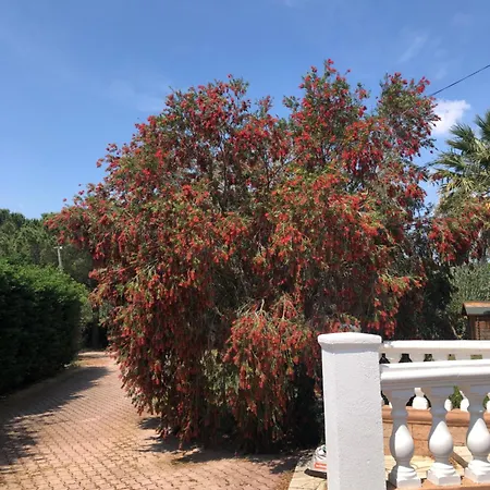 Deux Homestay Marseillan (Herault)